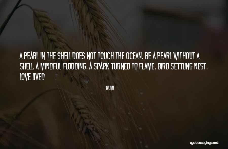Arnona Discount Quotes By Rumi Arnona Discount Quotes By Rumi