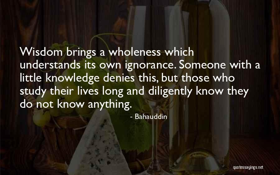 Arnostek Quotes By Bahauddin Arnostek Quotes By Bahauddin