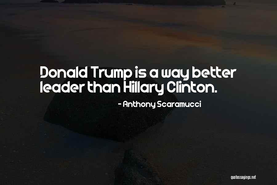 Arnsberger Disease Quotes By Anthony Scaramucci Arnsberger Disease Quotes By Anthony Scaramucci