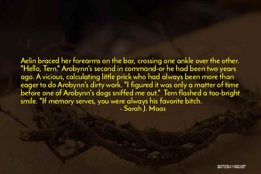 Arobynn Hamel Quotes By Sarah J. Maas