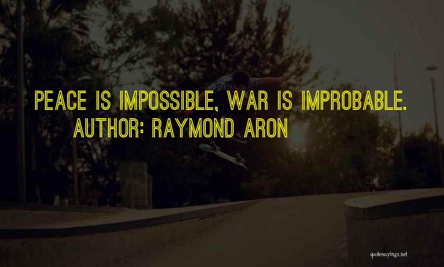 Aron Quotes By Raymond Aron