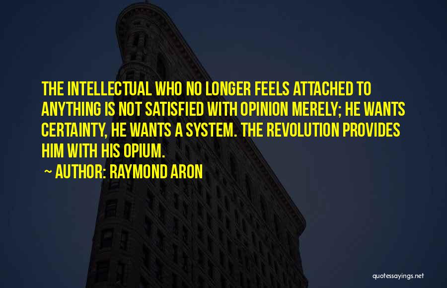 Aron Quotes By Raymond Aron