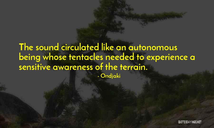 Aroop Town Quotes By Ondjaki Aroop Town Quotes By Ondjaki
