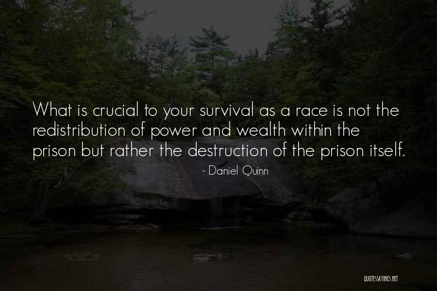 Aroseva Olga Quotes By Daniel Quinn Aroseva Olga Quotes By Daniel Quinn