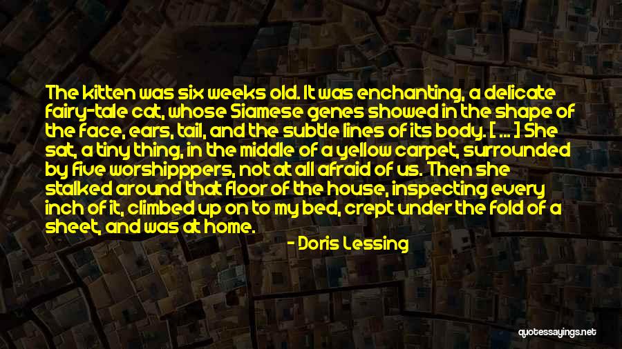 Around The House Quotes By Doris Lessing Around The House Quotes By Doris Lessing