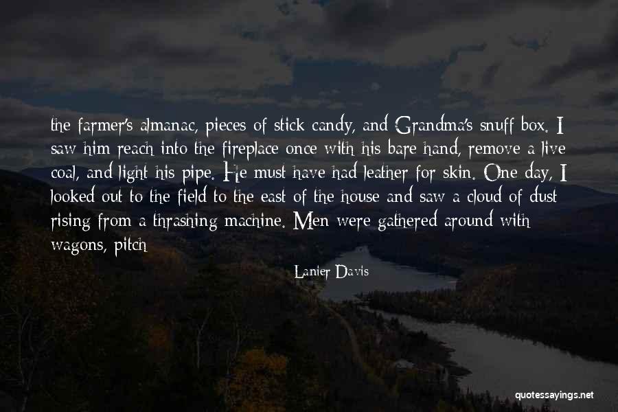 Around The House Quotes By Lanier Davis