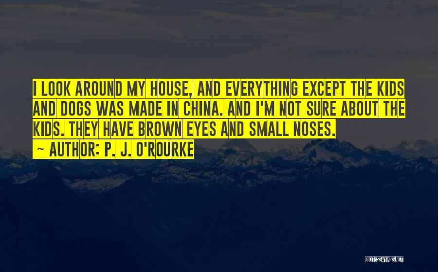 Around The House Quotes By P. J. O'Rourke
