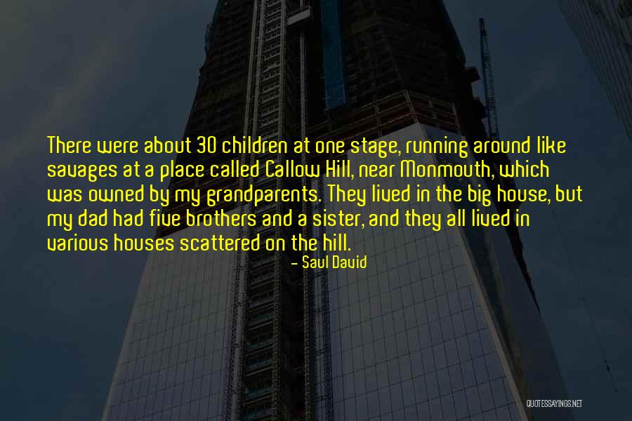 Around The House Quotes By Saul David