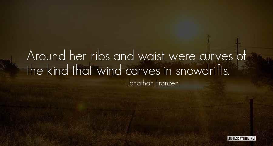 Around The Quotes By Jonathan Franzen Around The Quotes By Jonathan Franzen