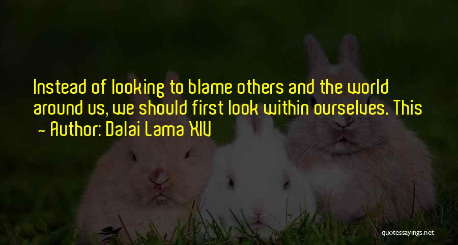 Around The World Quotes By Dalai Lama XIV