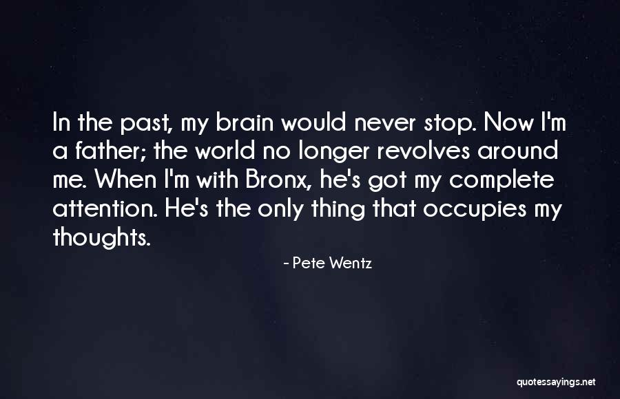 Around The World Quotes By Pete Wentz