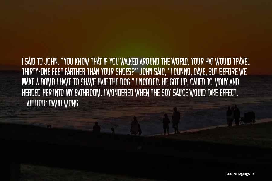 Around The World Travel Quotes By David Wong