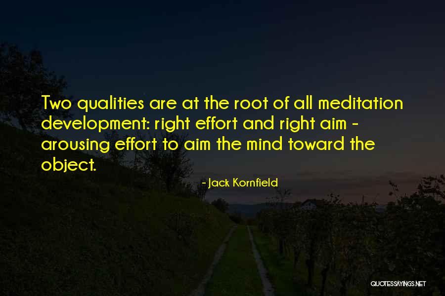 Arousing Quotes By Jack Kornfield