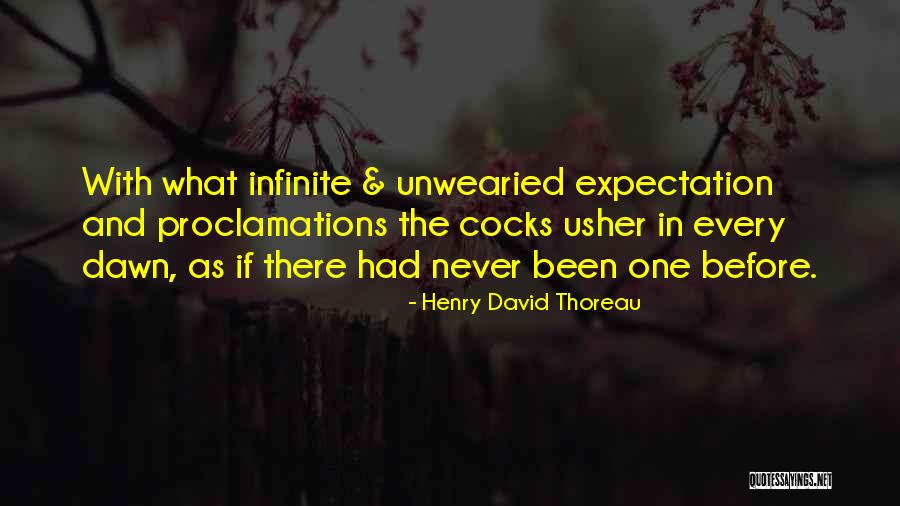 Arpagaus Switzerland Quotes By Henry David Thoreau Arpagaus Switzerland Quotes By Henry David Thoreau