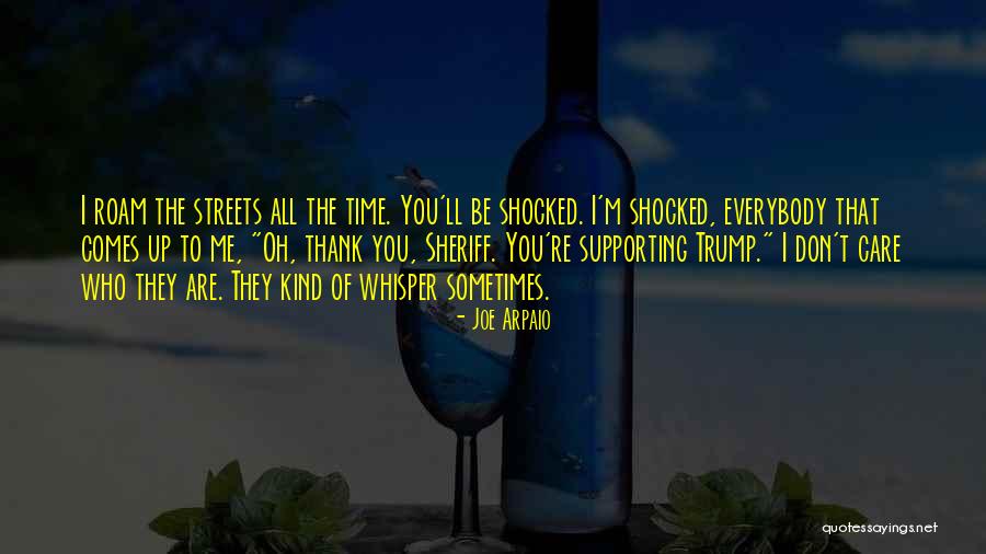 Arpaio Sheriff Quotes By Joe Arpaio Arpaio Sheriff Quotes By Joe Arpaio
