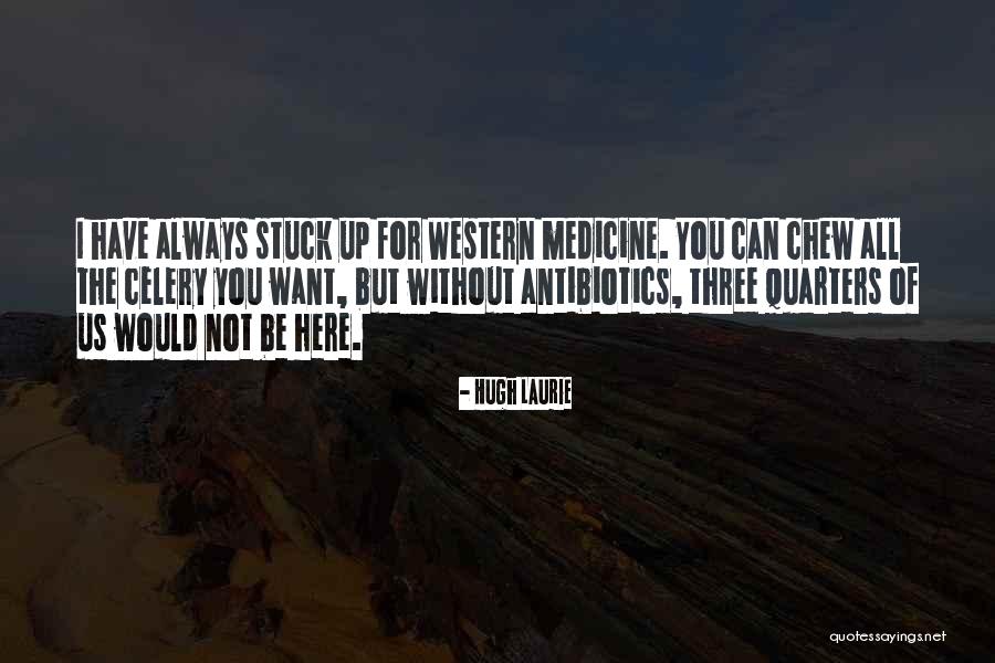 Arpn Journals Quotes By Hugh Laurie Arpn Journals Quotes By Hugh Laurie