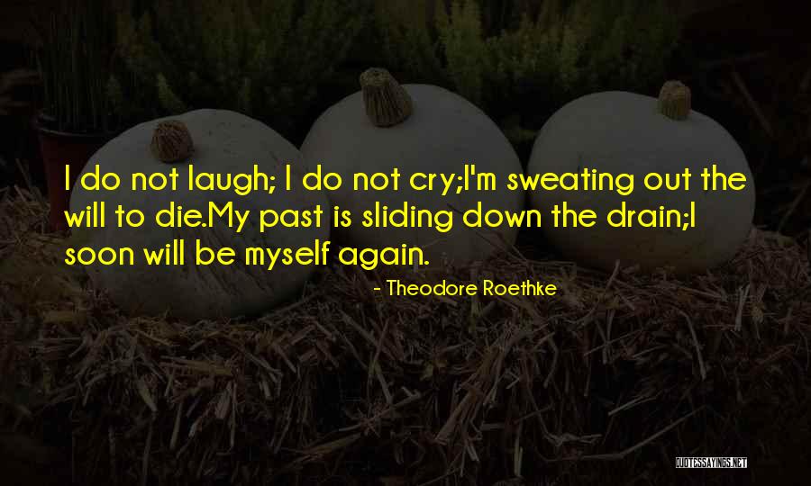 Arquitectonico En Quotes By Theodore Roethke Arquitectonico En Quotes By Theodore Roethke