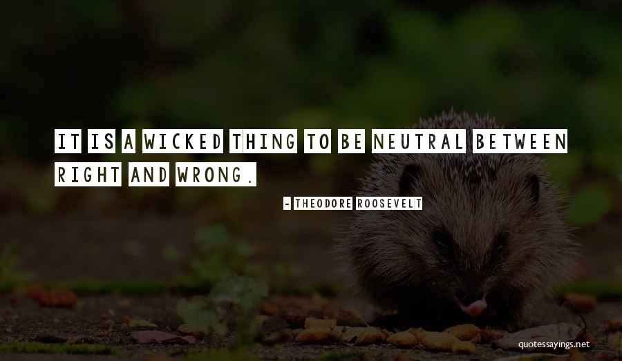 Arrandale Quotes By Theodore Roosevelt Arrandale Quotes By Theodore Roosevelt