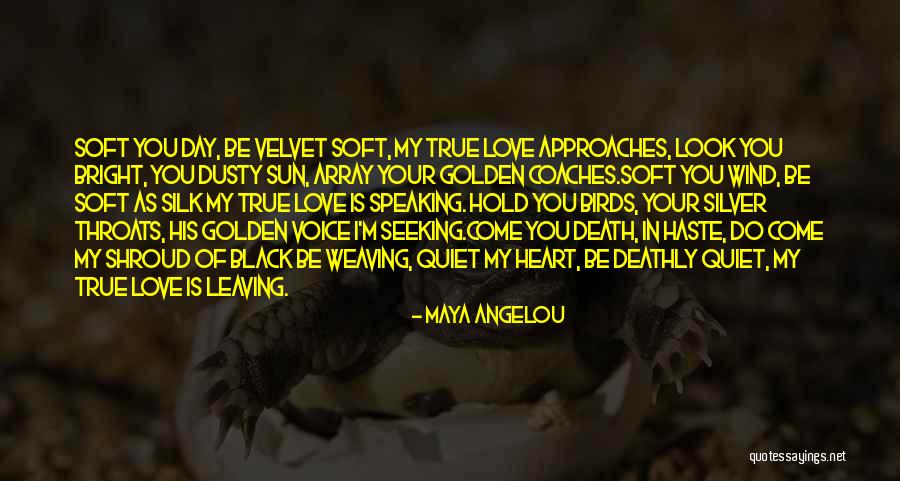 Array Quotes By Maya Angelou Array Quotes By Maya Angelou