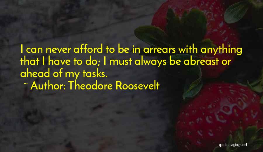 Arrears Quotes By Theodore Roosevelt