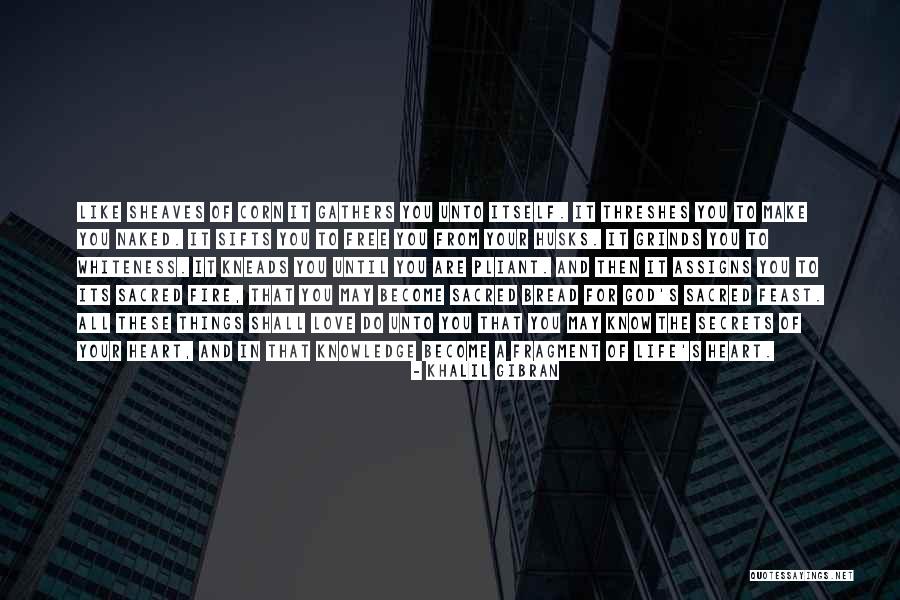 Arremesso De Peso Quotes By Khalil Gibran Arremesso De Peso Quotes By Khalil Gibran