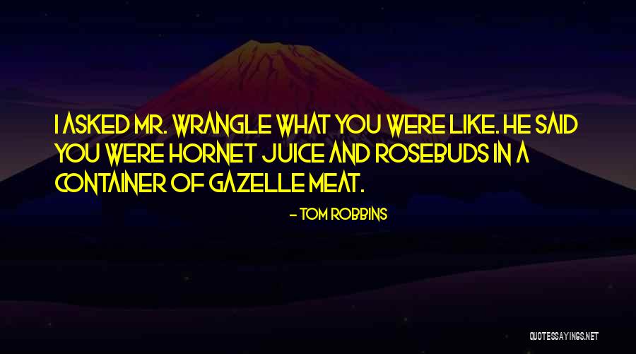 Arremetieron Quotes By Tom Robbins Arremetieron Quotes By Tom Robbins
