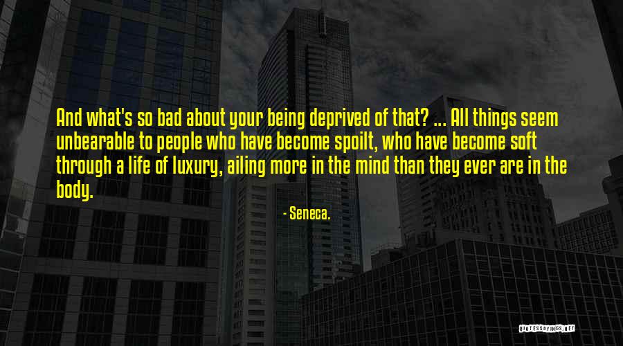 Arreos Neuquen Quotes By Seneca. Arreos Neuquen Quotes By Seneca.