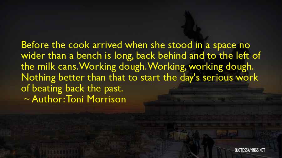 Arrhenius Theory Quotes By Toni Morrison