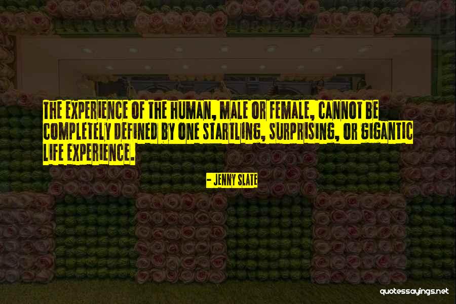 Arrigo Margate Quotes By Jenny Slate Arrigo Margate Quotes By Jenny Slate
