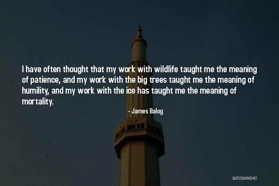 Arriscado Quotes By James Balog Arriscado Quotes By James Balog