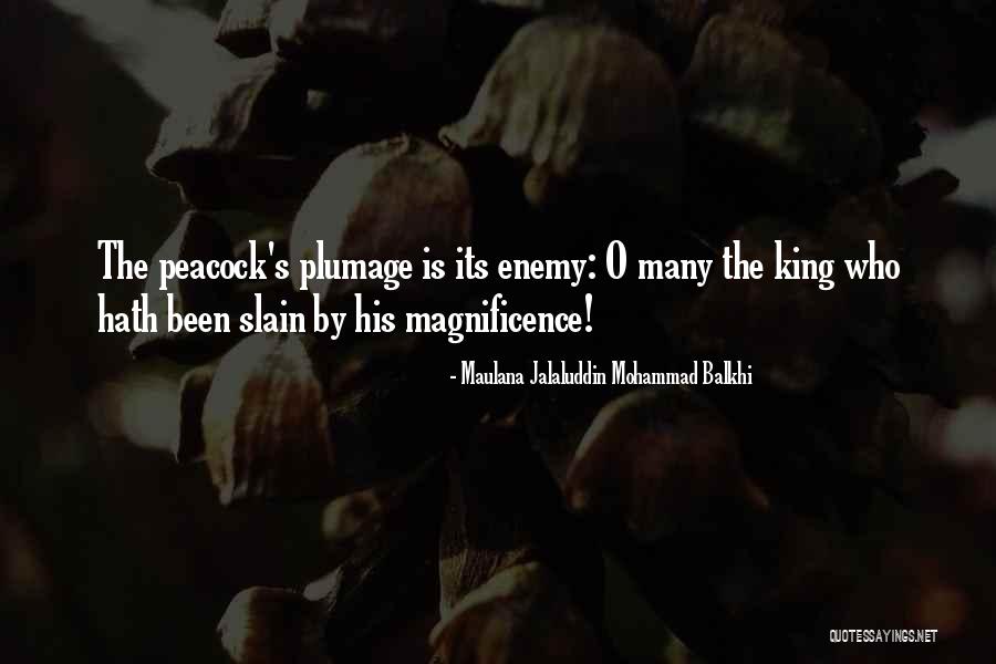 Arrogance Vs Humility Quotes By Maulana Jalaluddin Mohammad Balkhi Arrogance Vs Humility Quotes By Maulana Jalaluddin Mohammad Balkhi