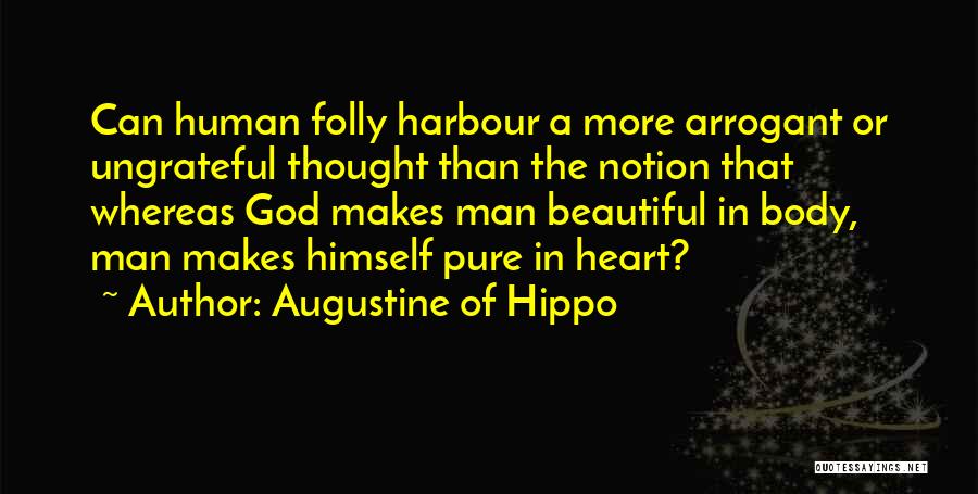 Arrogant Man Quotes By Augustine Of Hippo