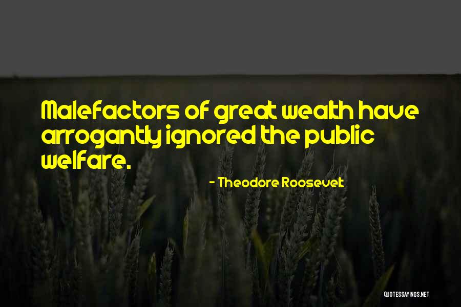 Arrogantly Quotes By Theodore Roosevelt