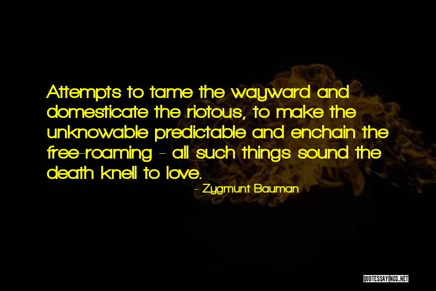 Arromanches Militaria Quotes By Zygmunt Bauman Arromanches Militaria Quotes By Zygmunt Bauman