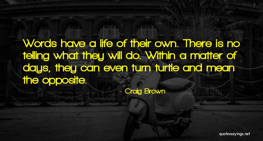 Arrospide Artwork Quotes By Craig Brown Arrospide Artwork Quotes By Craig Brown