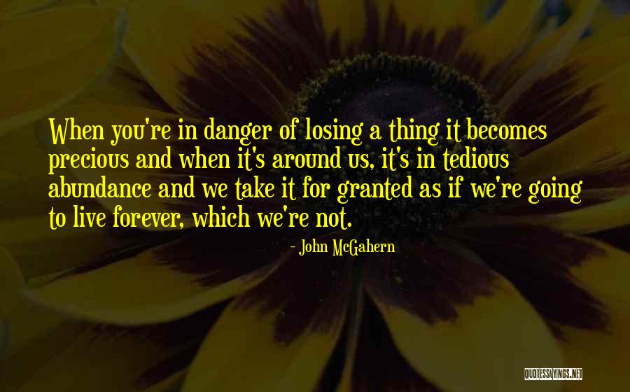 Arrow 3x17 Quotes By John McGahern Arrow 3x17 Quotes By John McGahern
