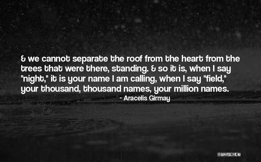 Arroz Poetica Quotes By Aracelis Girmay Arroz Poetica Quotes By Aracelis Girmay