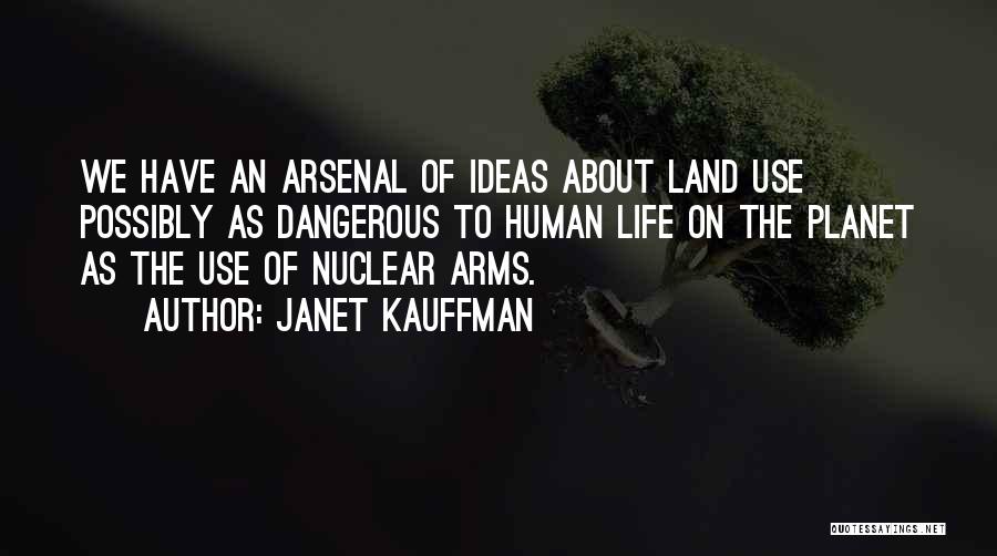 Arsenal Quotes By Janet Kauffman