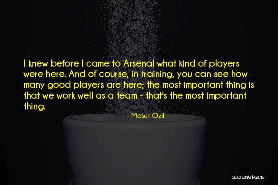 Arsenal Team Quotes By Mesut Ozil