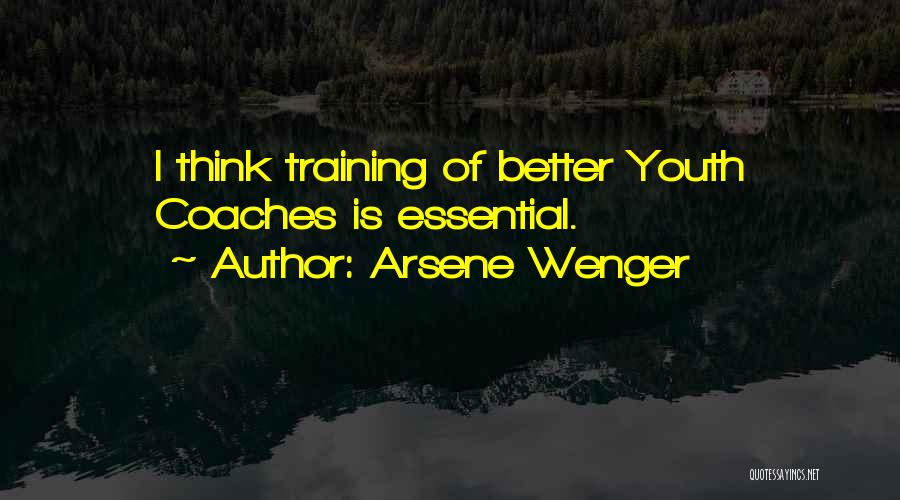 Arsene Wenger Quotes 896468