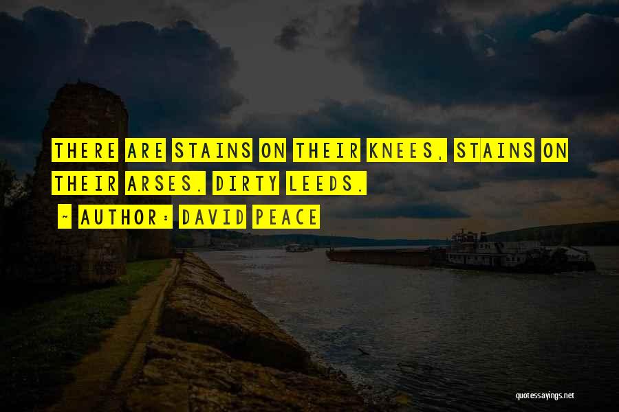 Arses Quotes By David Peace