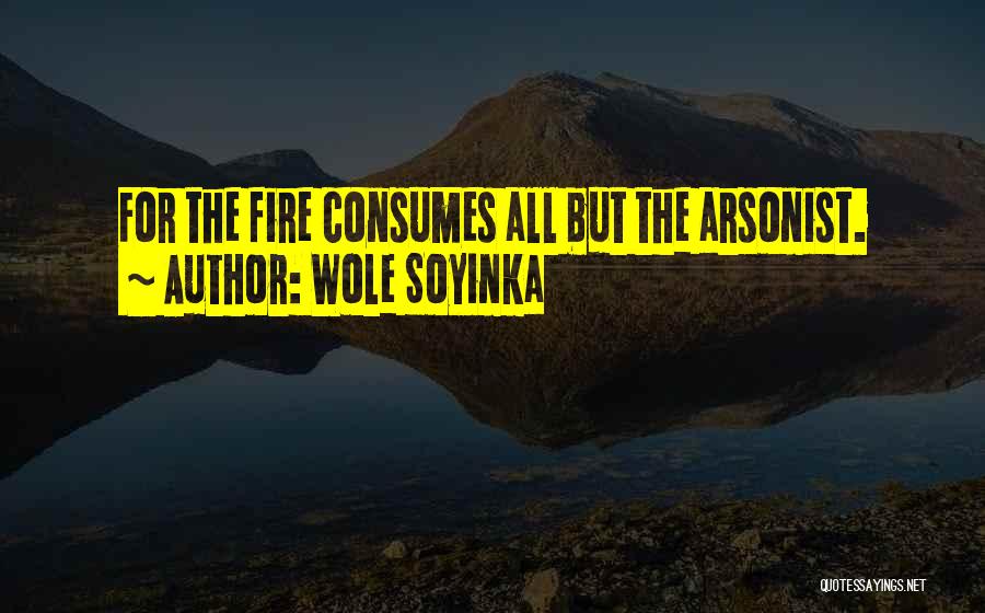 Arsonist Quotes By Wole Soyinka