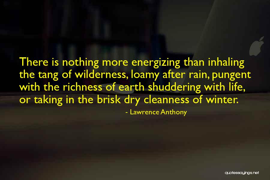 Arsons Quotes By Lawrence Anthony Arsons Quotes By Lawrence Anthony