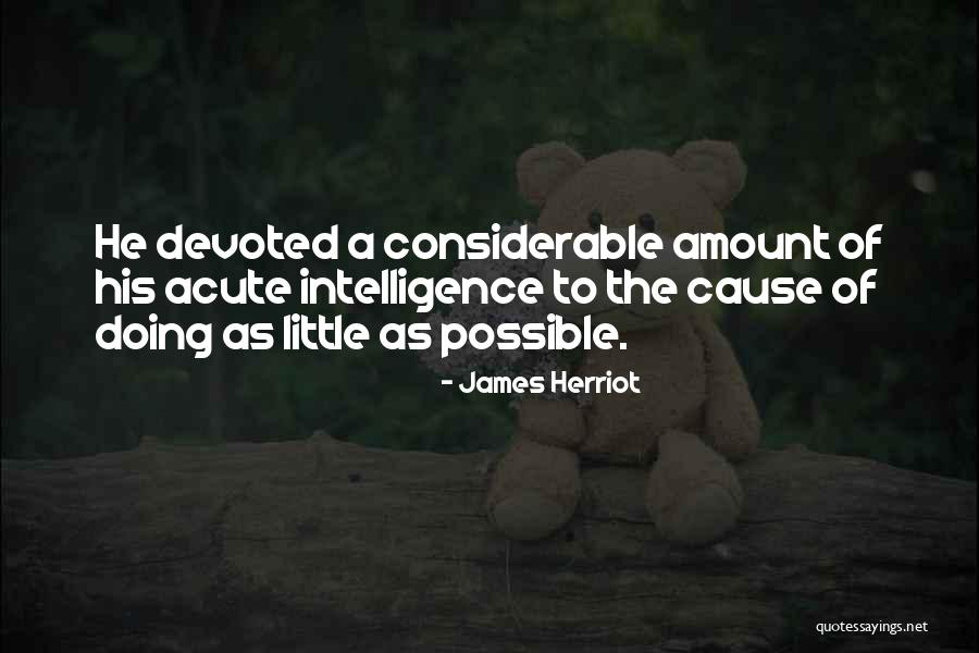 Arsuaga Rafael Quotes By James Herriot Arsuaga Rafael Quotes By James Herriot