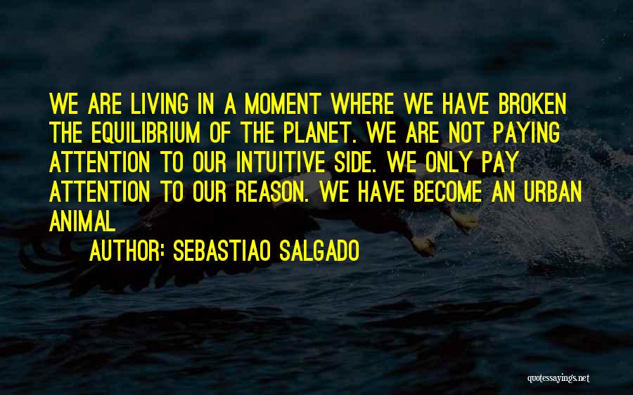 Art And Activism Quotes By Sebastiao Salgado