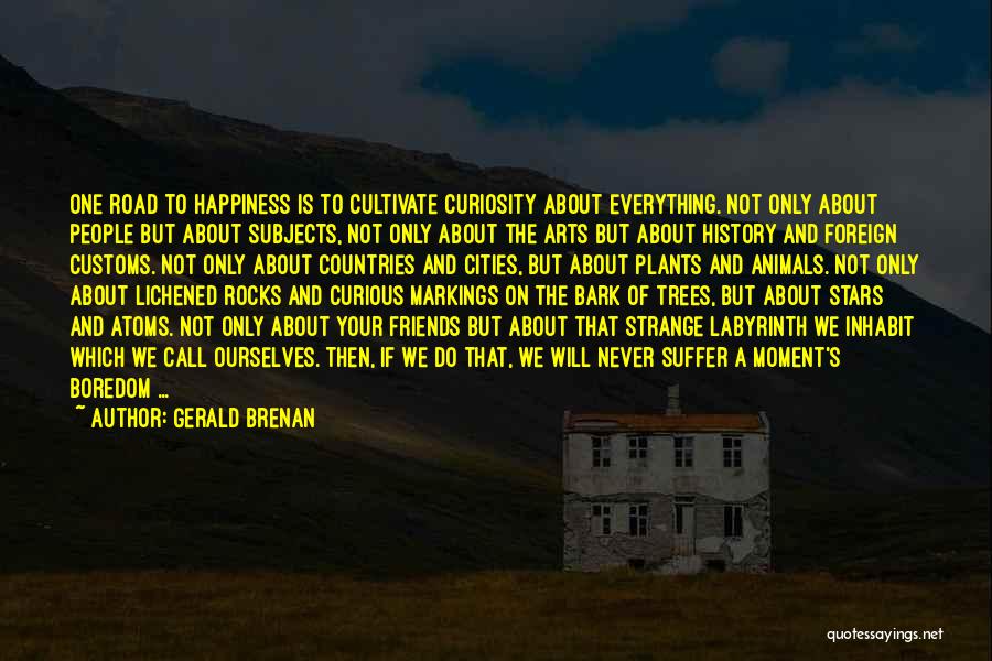 Art And Happiness Quotes By Gerald Brenan