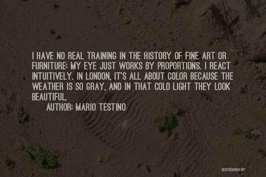 Art And History Quotes By Mario Testino