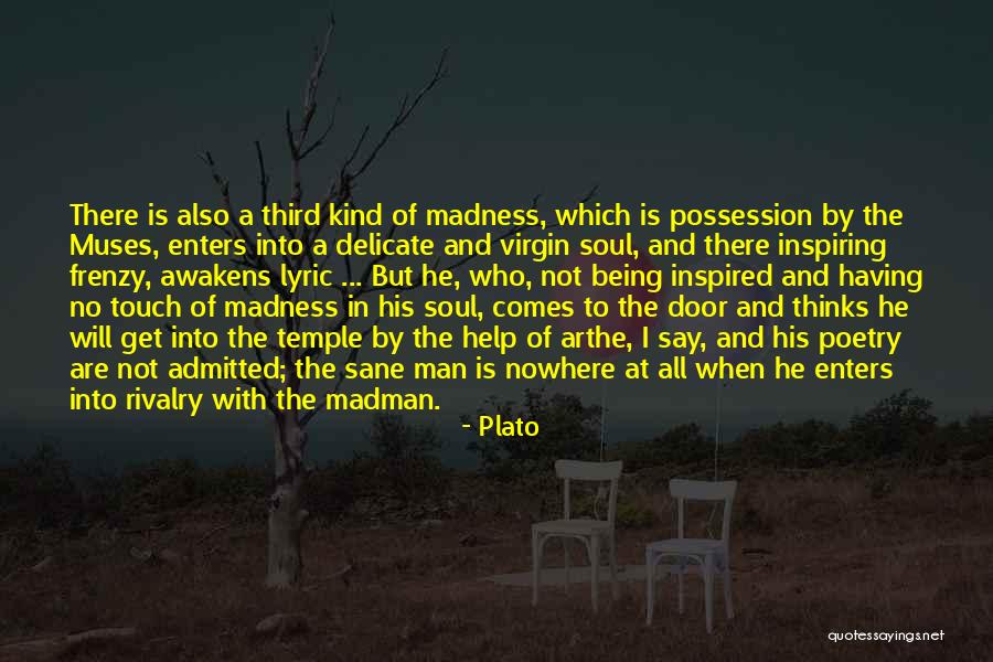 Art And Muses Quotes By Plato