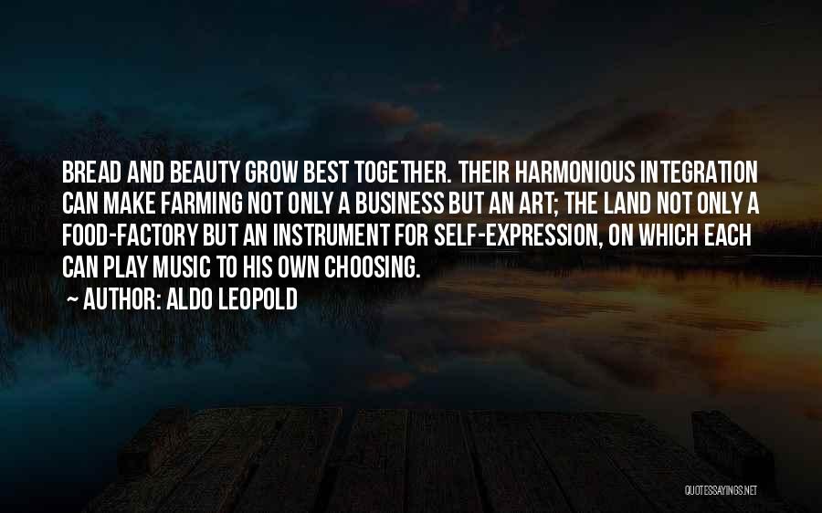Art And Self Expression Quotes By Aldo Leopold