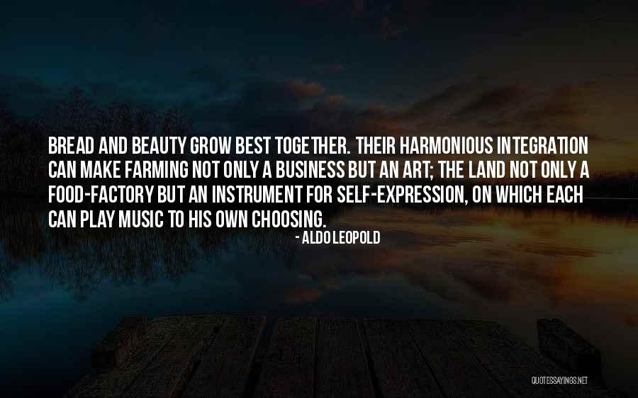 Art And Self Expression Quotes By Aldo Leopold